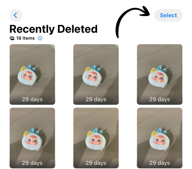 Select in Recently Deleted